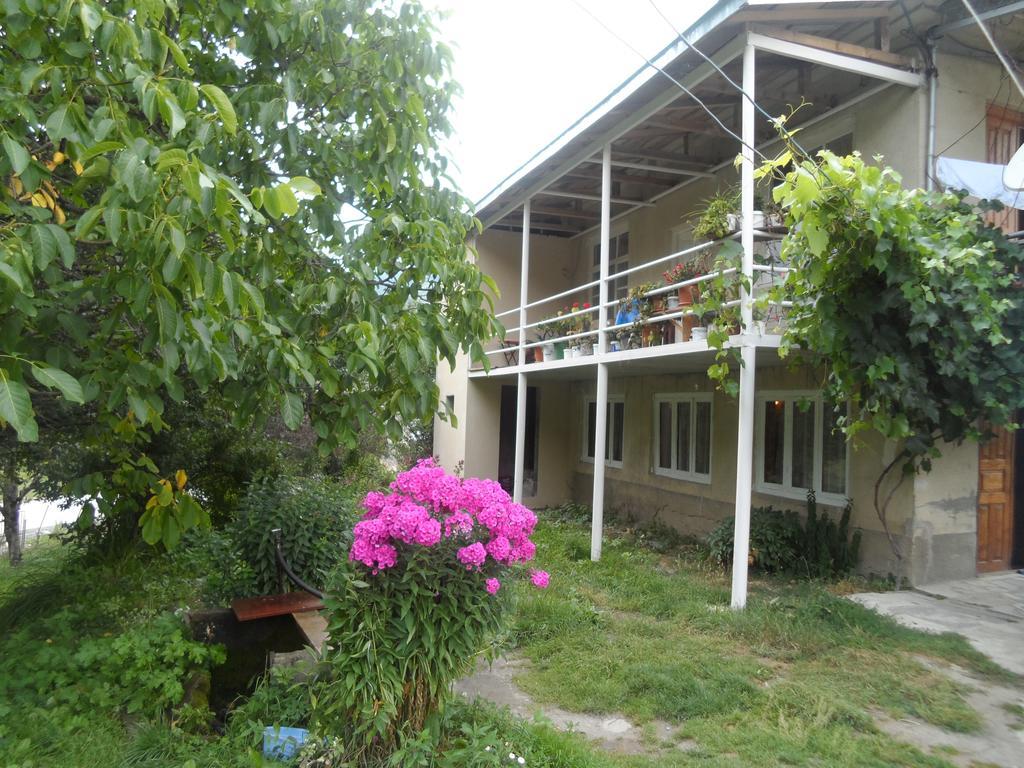 Guesthouse Am Museum 메스티아 외부 사진